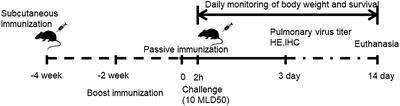 The transmembrane replacement H7N9-VLP vaccine displays high levels of protection in mice